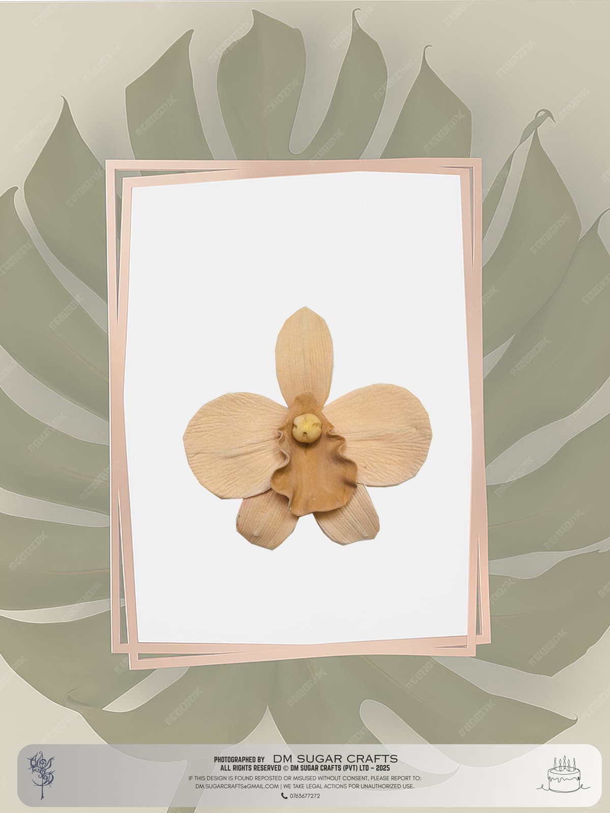 Orchid II(2 pcs) flower