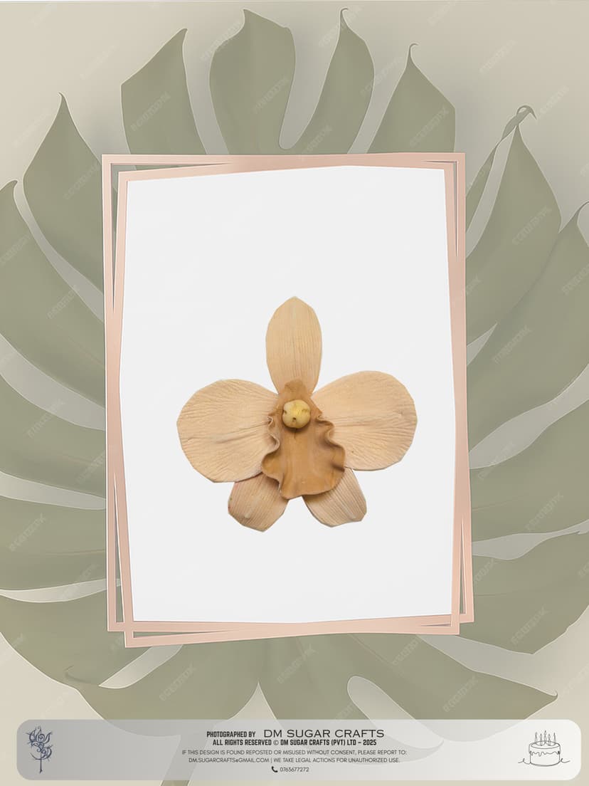 Orchid II(2 pcs) flower