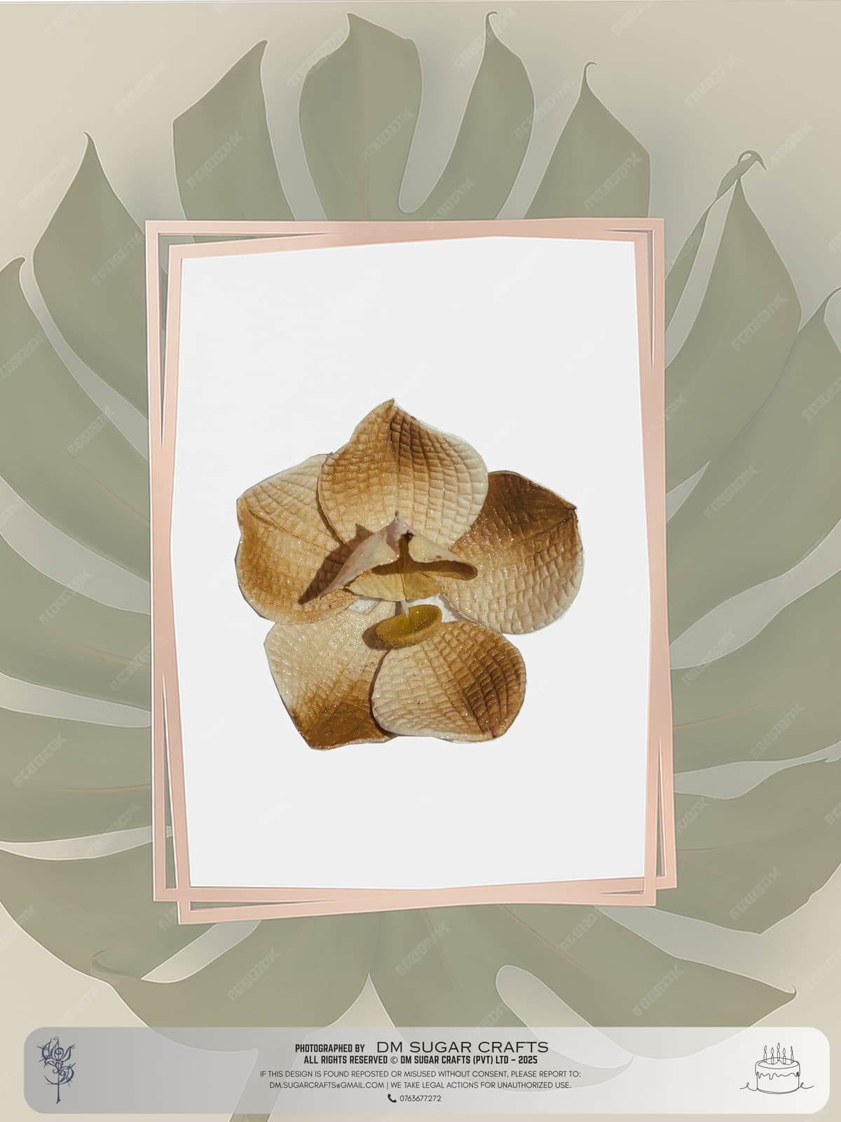 Orchid III(4 pcs) flower