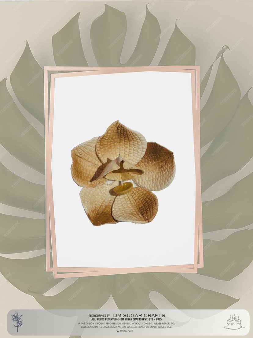 Orchid III(4 pcs) flower